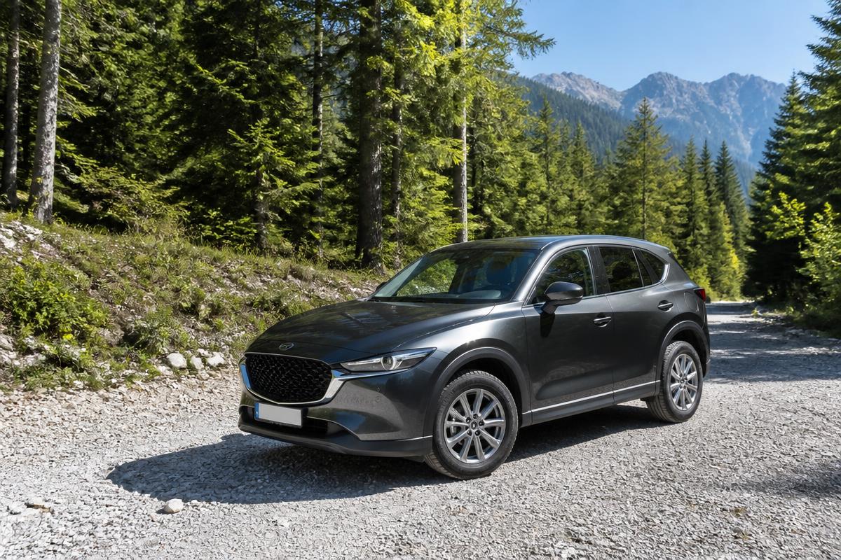 Firmenauto auf einer Waldstrasse